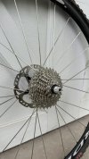 IMG_1034.jpeg