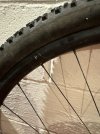 IMG_1113.jpeg