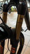 IMG_1099.jpeg