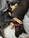 IMG_6872.jpeg