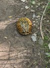 IMG_2963.jpg