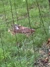 IMG_8546.jpeg
