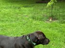 IMG_8548.jpeg