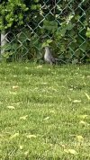 IMG_7202.jpeg