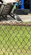 IMG_7204.jpeg
