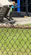 IMG_7205.jpeg