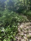 IMG_0363.jpeg