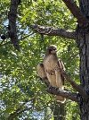 IMG_6768.jpeg