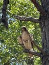 IMG_6769.jpeg