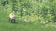 IMG_7180.jpeg