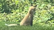 IMG_7182.jpeg