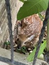 IMG_3771.jpeg