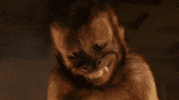 1718901739996.gif