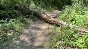 IMG_8469.jpeg