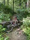 IMG_6562.jpeg