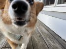 IMG_9249.jpeg