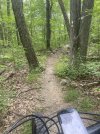 IMG_5221.jpeg