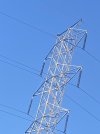 IMG_8560.jpeg