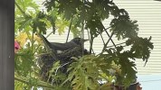 IMG_8349.jpeg