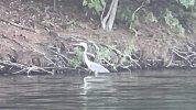 IMG_7990.jpeg