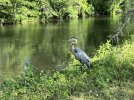 IMG_6860.JPEG