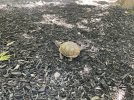 IMG_2210.jpeg
