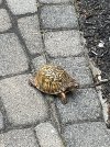 IMG_2056.jpeg