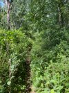 IMG_4281.jpeg