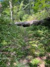 IMG_4288.jpeg