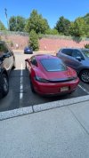 IMG_9137.jpeg