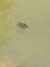 IMG_6391.jpeg