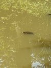 IMG_6398.jpeg