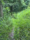 IMG_4316.jpeg