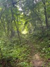 IMG_4313.jpeg