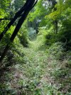 IMG_4314.jpeg
