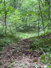 IMG_4311.jpeg