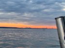 IMG_7133.jpeg