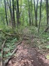 IMG_7222.jpg