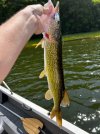 IMG_0619.jpeg