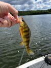 IMG_0624.jpeg