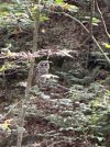 IMG_9559.jpeg