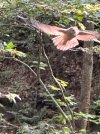 IMG_9562.jpeg