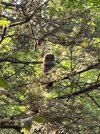 IMG_9575.jpeg