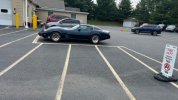 IMG_9566.jpeg