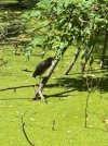 IMG_2114.jpeg