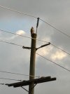 IMG_6620.jpeg