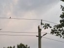 IMG_6626.jpeg