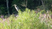 Dsc02100.jpg