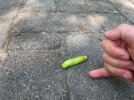 IMG_2697.jpeg