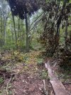 IMG_1416.jpeg